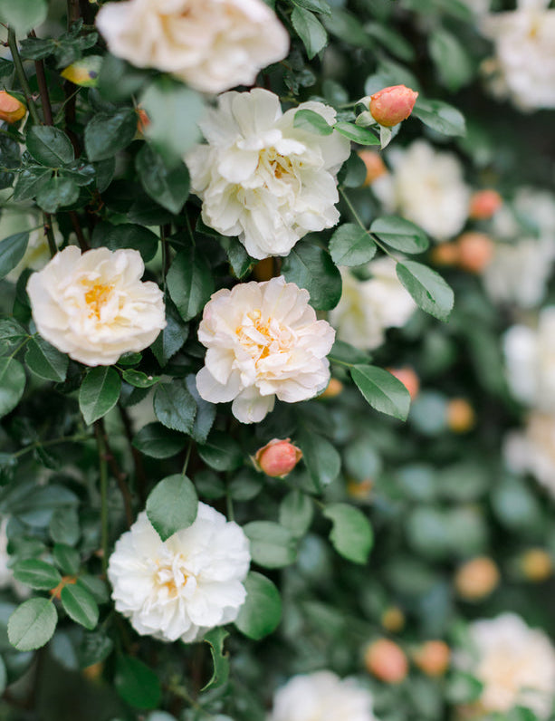 How To Add Filters On Instagram: An Ultimate Guide