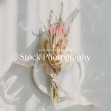 Getting Started with Stock Photography